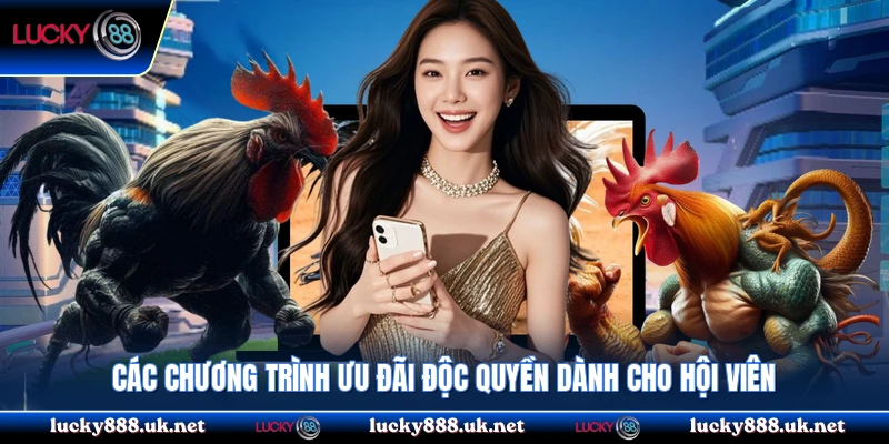 Các chương trình ưu đãi độc quyền dành cho hội viên