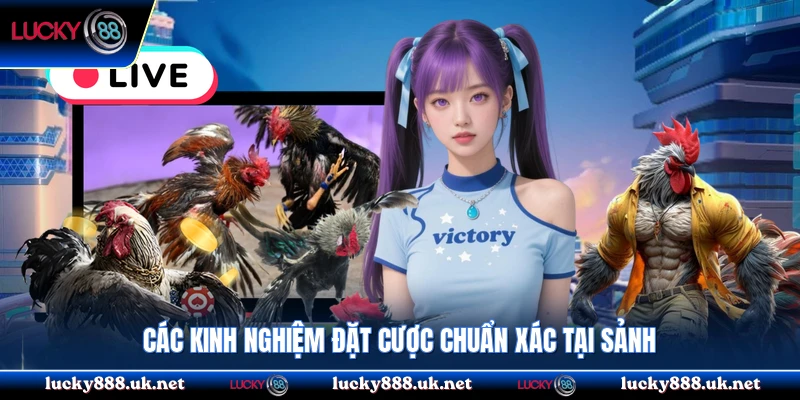 Các kinh nghiệm đặt cược chuẩn xác tại sảnh