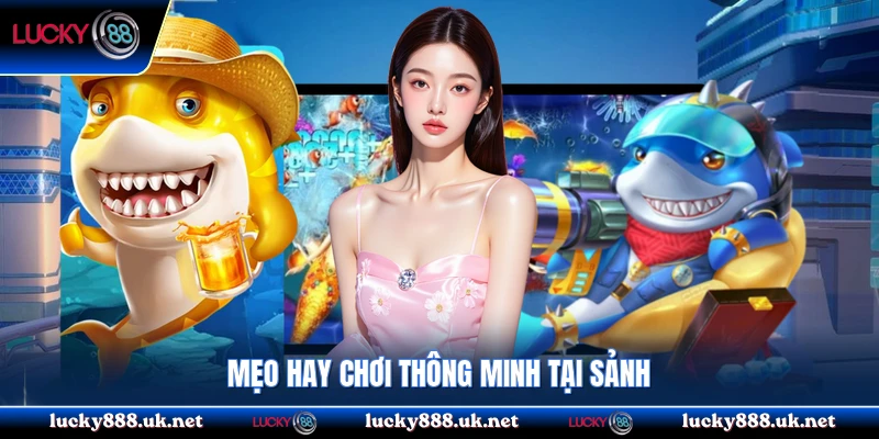 Mẹo hay chơi thông minh tại sảnh