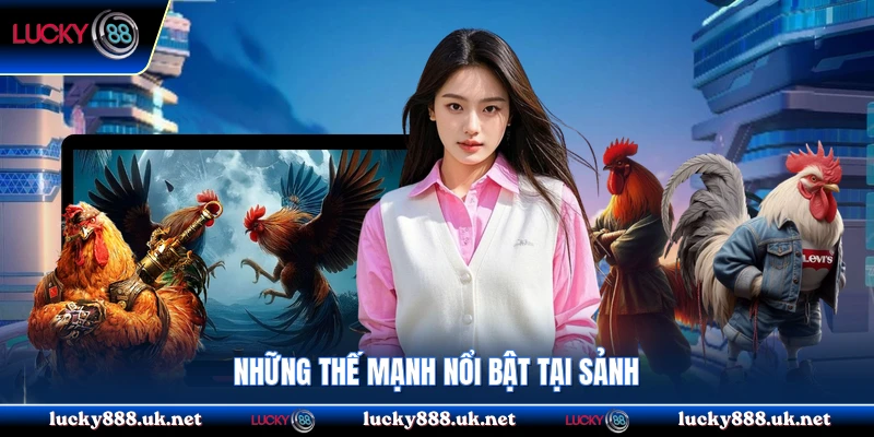 Những thế mạnh nổi bật tại sảnh